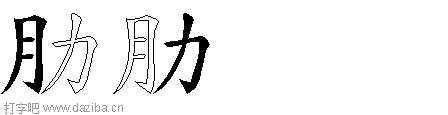 肋的五笔拆分图,肋的五笔字根表