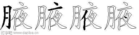 腋的五笔拆分图,腋的五笔字根表