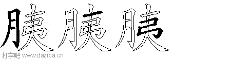 胰的五笔拆分图,胰的五笔字根表