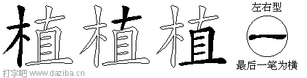 植的五笔拆分图,植的五笔字根表