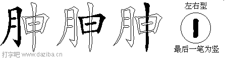 胂的五笔拆分图,胂的五笔字根表