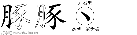 豚的五笔拆分图,豚的五笔字根表