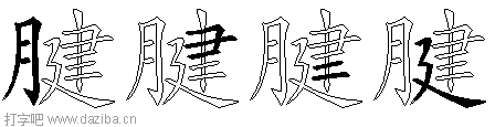 腱的五笔拆分图,腱的五笔字根表